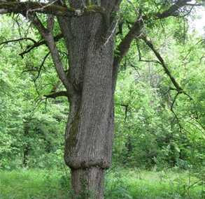 События Республика Адыгея Календарь событий