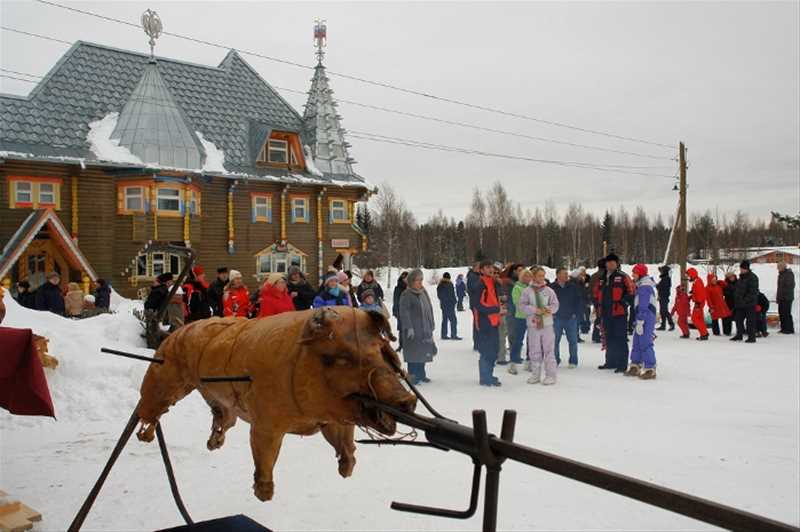 Деревня Мандроги зимой